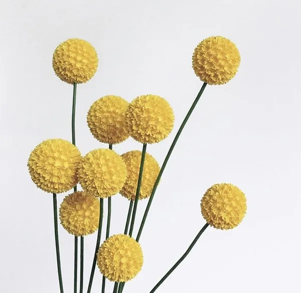 Papersynthesis Mabel Low 紙花藝術 11.jpg