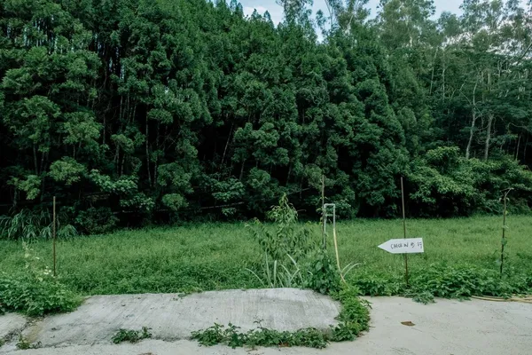 瘋之谷_九樹森林二館DSCF6851.jpg