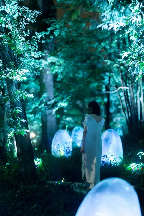 teamLab 武藏野森林 06.jpg