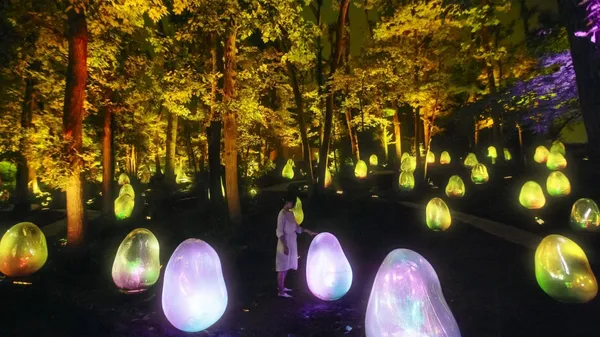 龍貓故鄉的 teamLab 體驗！東京近郊《橡子森林》常設展，大自然裡的沉浸式體驗