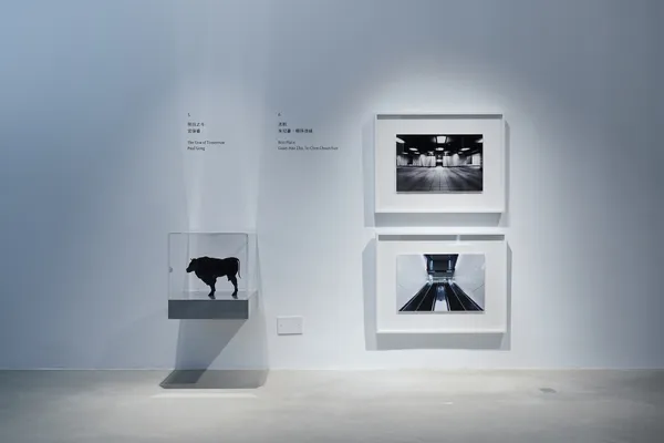 TPADD-準現實-推測設計展-森3-03.jpg