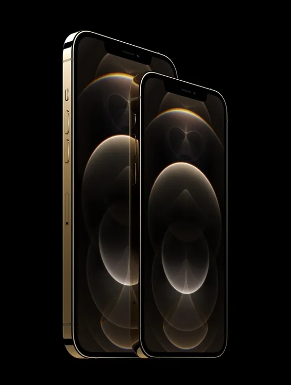 Apple_iphone12pro-stainless-steel-gold_10132020_in