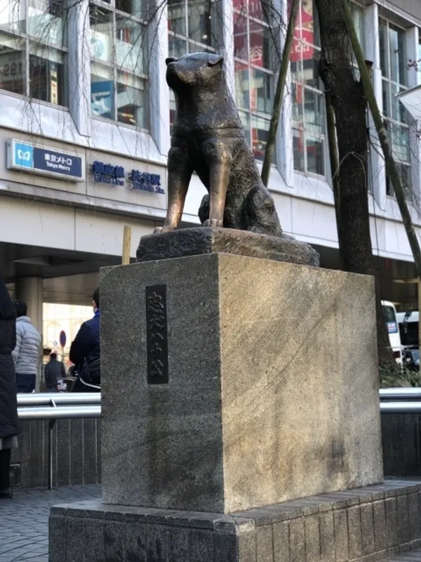 圖6 澀谷地標忠犬八公銅像(圖片提供 一般財團法人澀谷區觀光協會).jpg