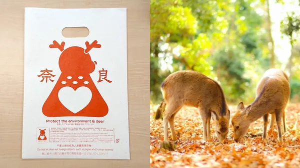 專為「奈良鹿」開發的包裝設計！日本研發好消化「鹿紙」，避免奈良鹿誤食塑膠袋而死亡