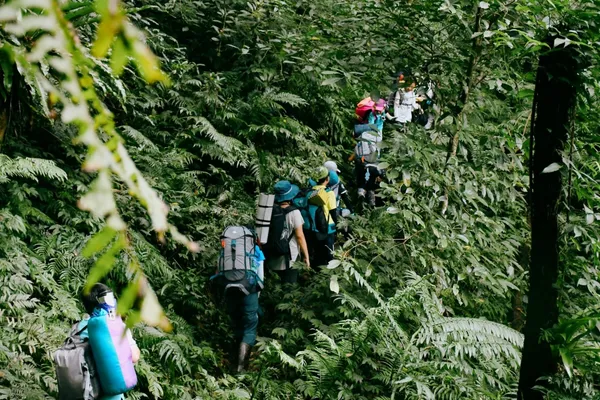 2020桃園文博走桃花-那結山01.jpg
