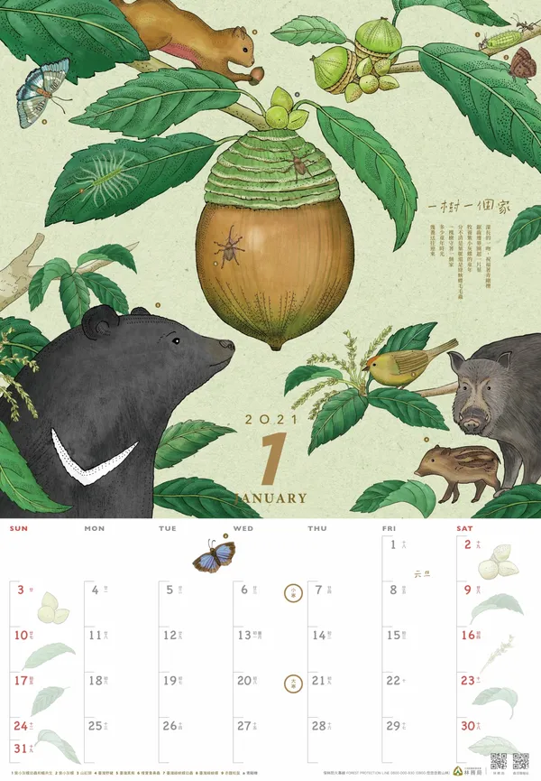 林務局2021「生命之森-種間關係」月曆_1月.jpg