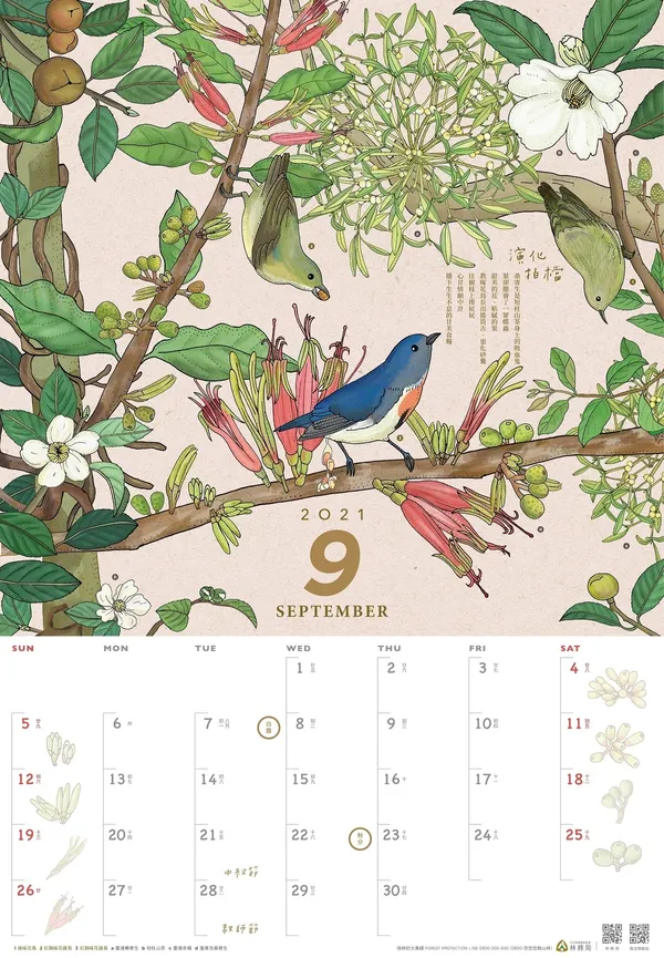 林務局2021「生命之森-種間關係」月曆_9月_66588.jpg