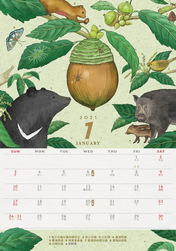 林務局2021「生命之森-種間關係」桌曆_1月_66588.jpg