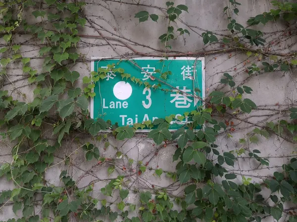 2020植覺 (8).jpg