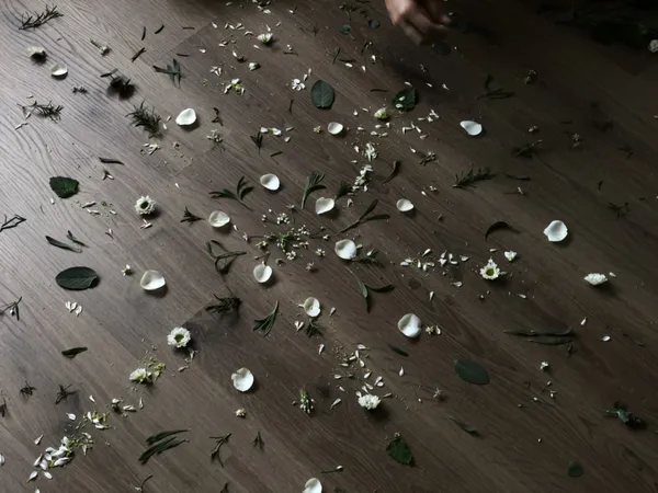 2020植覺 (9).jpg