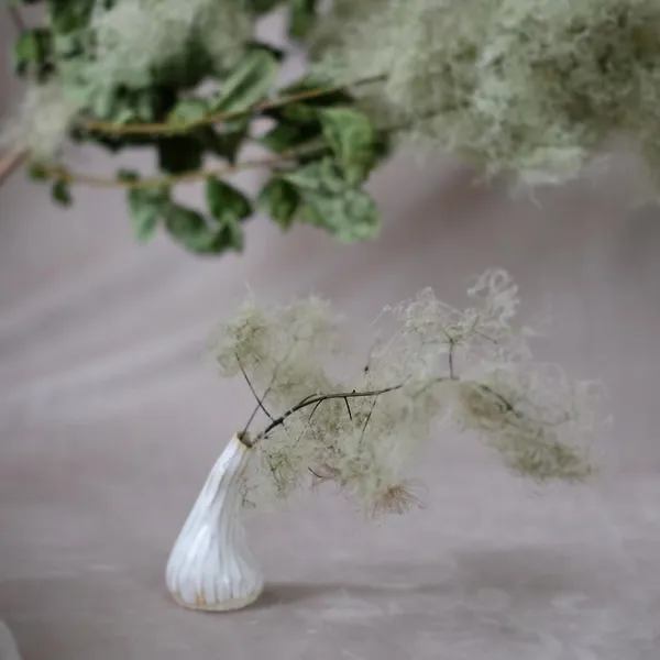 2020植覺 (12).jpg