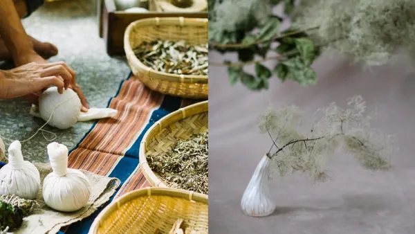 植物愛好者必訪！2020《植覺》：老樹地圖漫遊、植物派對市集等 6 大主題活動亮點