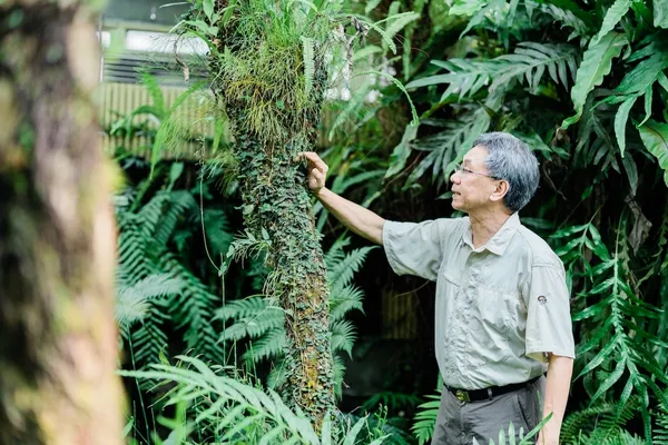 專訪台灣蕨類教父郭城孟：閱讀土地的韻律、年輕的地殼、古老的靈魂