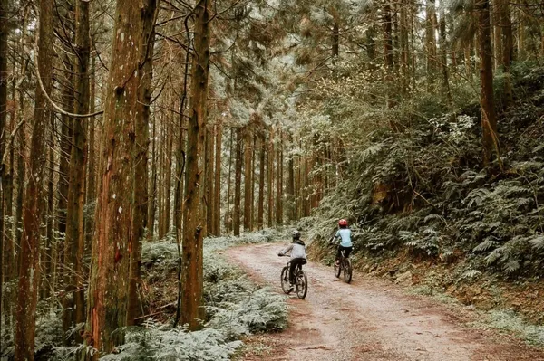 所有的寶藏都在山裡！登山、野營、部落、獵人餐桌：4條路徑看山給我們的文化與感動