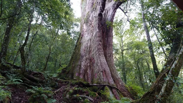 野溪溫泉體驗4.jpg