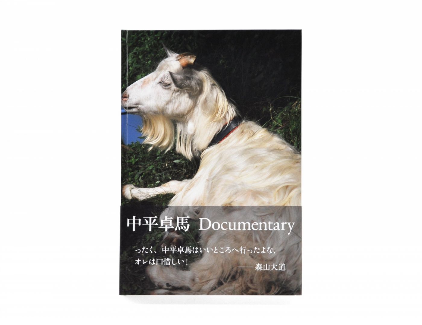 中平卓馬『Documentary』 Documentary》 – Dialect 方言社