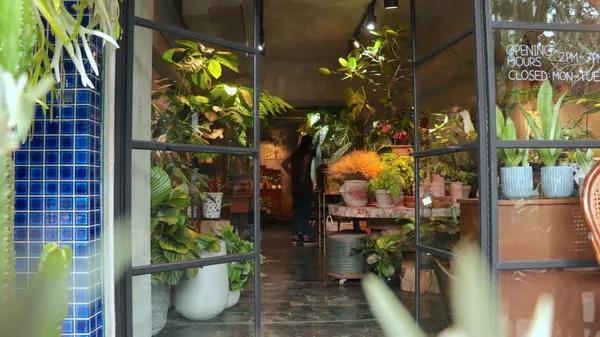 植物愛好者必訪！台北植物專賣店「樹園藝」：集結植栽、古物老件、質感器皿的療癒選物空間