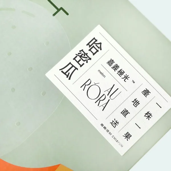 聶永真_嘉義優鮮09.jpg