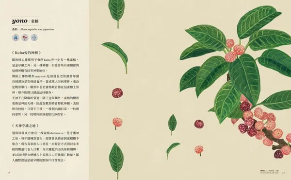 種籽設計_鄒的植物書02.jpg