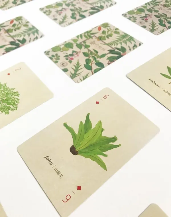 種籽設計_鄒的植物撲克牌04.jpg