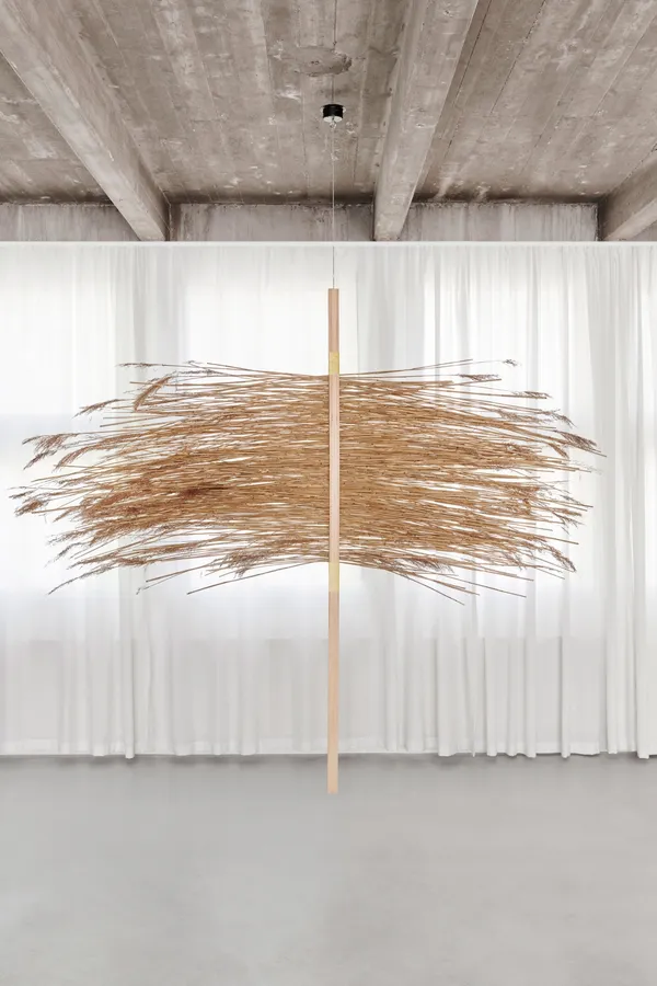 植物纖維博物館 Sara Martinsen 05.jpg