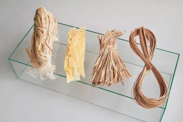 植物纖維博物館 Sara Martinsen 08.jpg