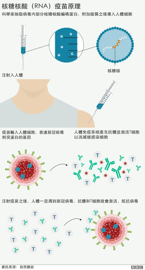_115332925_covid19_how_vaccines_work_v3_chinese-nc