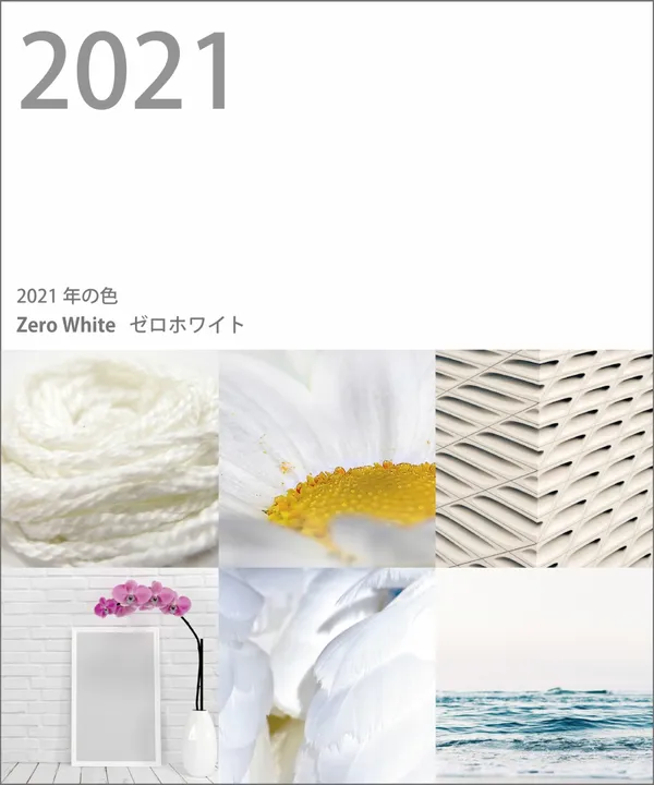 JAFCA2021年度代表色-白色zero white.jpg