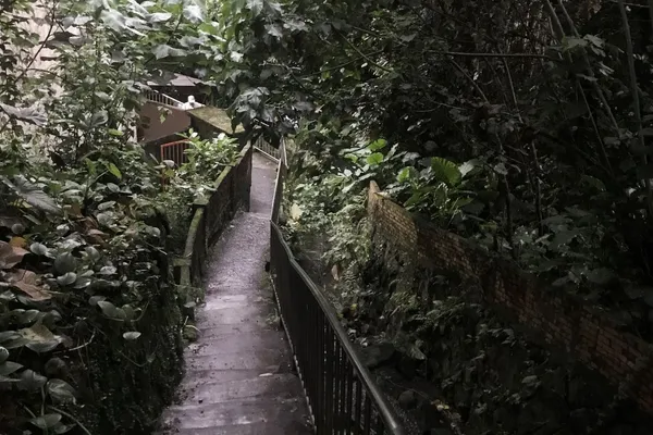 高靖捷_D8.jpg