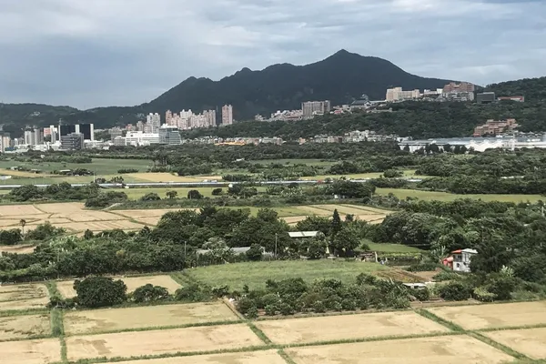 高靖捷_D20.jpg