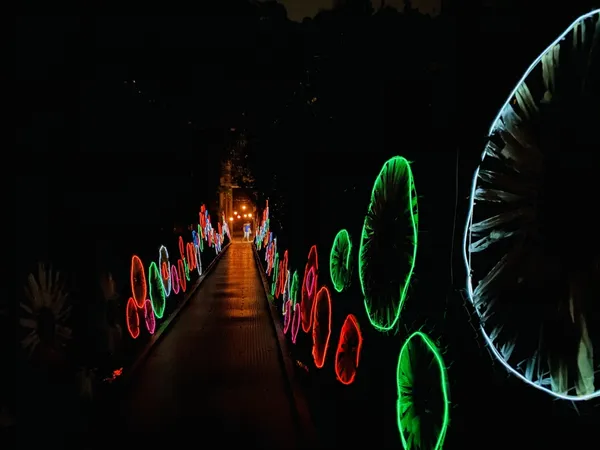 龍崎光節空山祭_05.JPG