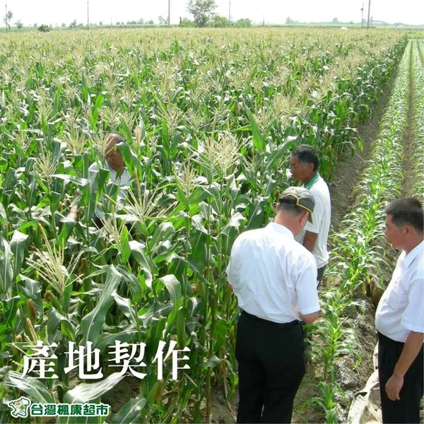 圖3-楓康超市從產地到餐桌，與小農契作，產地直送。圖片來源：楓康超市FB