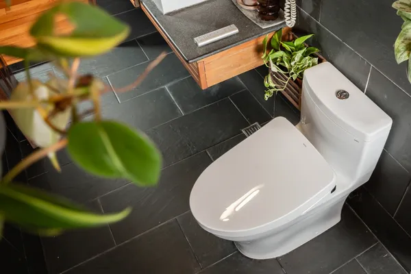 TOTO WASHLET+