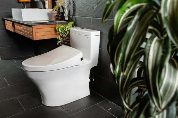 TOTO WASHLET+