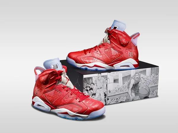 J0660_JORDAN_AJ6_SALMDUNK_150045_original