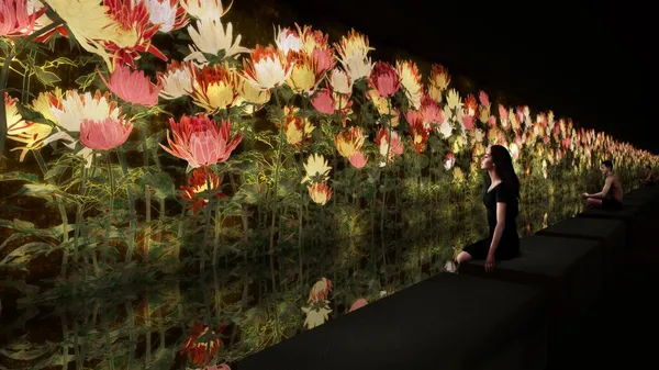 看展兼泡湯！東京teamLab Reconnect：冷熱交替打開身體感知，沉浸於花朵綻放凋零的無限循環之中