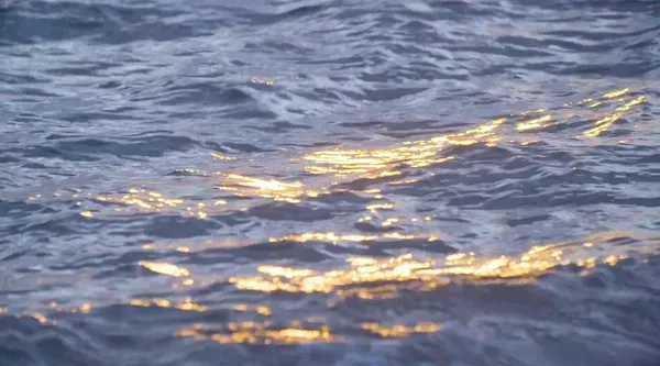 olafureliasson_芝加哥波浪牆_.jpg