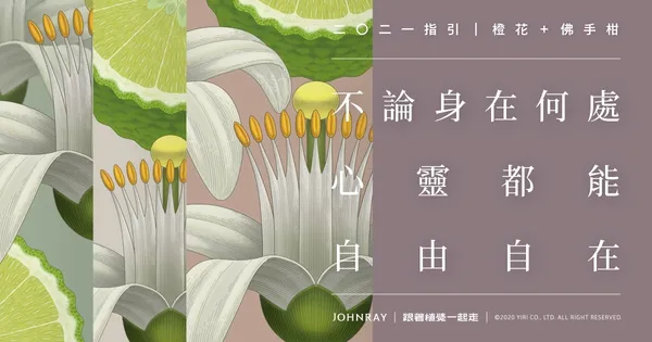 約翰森林JOHNRAY_跟著植覺一起走_07.jpg