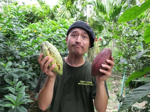 T CACAO GIN