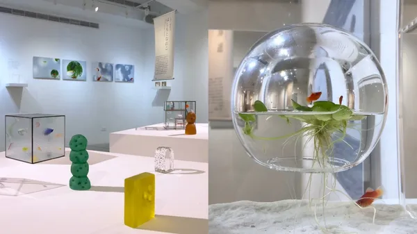 三澤遥「水中風景」再現！雄獅星空新展，集結6位日本創作者，攝影、玻璃、插畫、原木玩具等作品