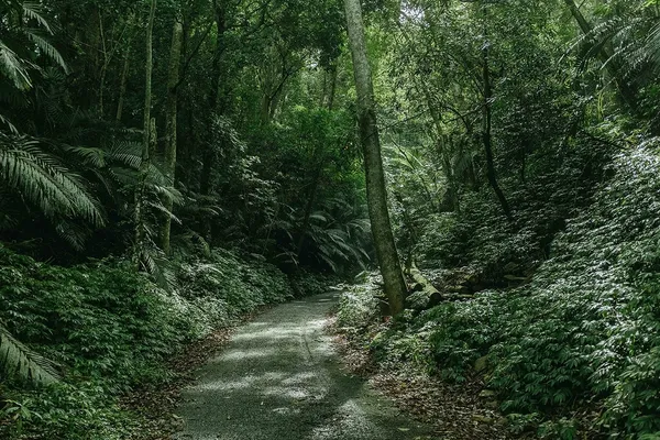 PLUS 19 台灣溫泉鄉-谷關風景01.jpg