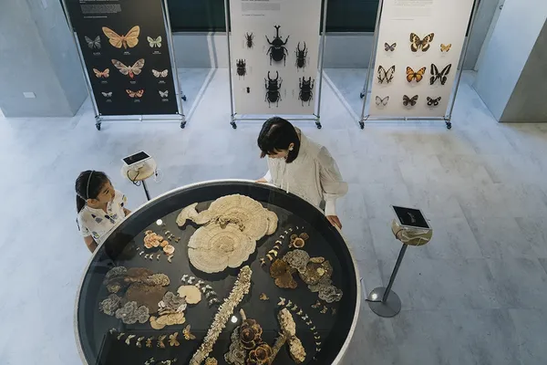 入關博物館13.jpg