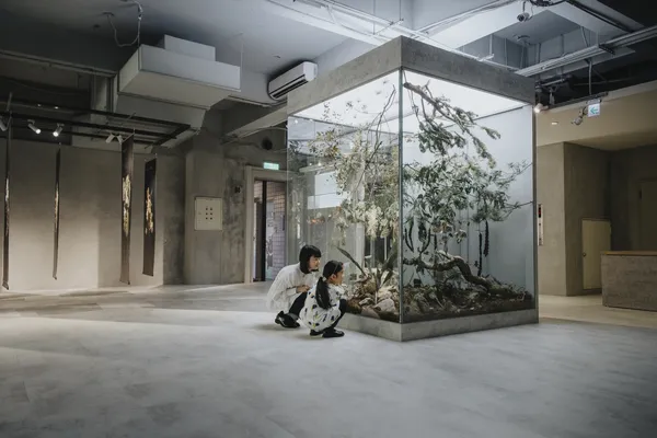 入關博物館21.jpg