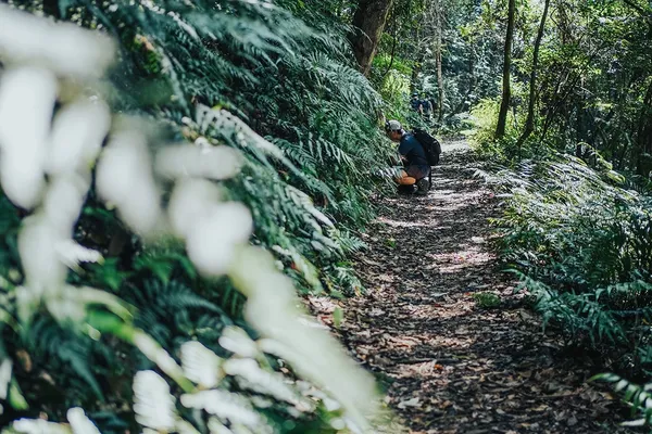 C透過山知道的自然足跡踏查出適合入山谷關的登山訊息2.jpg
