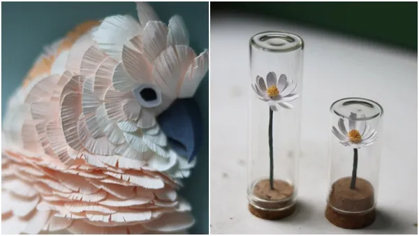 留存「瀕危生物」之美！心繫珊瑚礁、瀕危動植物，法國藝術家以紙雕為大自然發聲