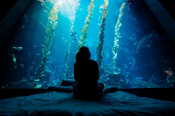 夜宿_世界水域館_海藻森林2.jpg