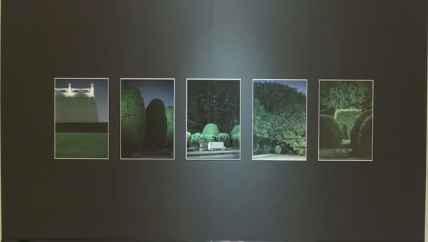 2021新光三越國際攝影展