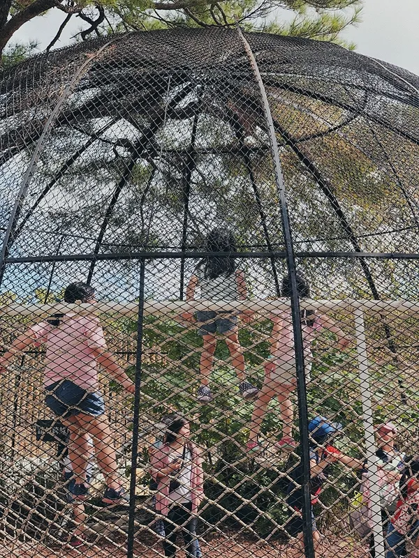 新竹動物園1.jpg