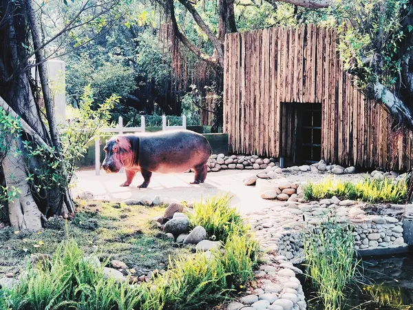 新竹動物園3.jpg