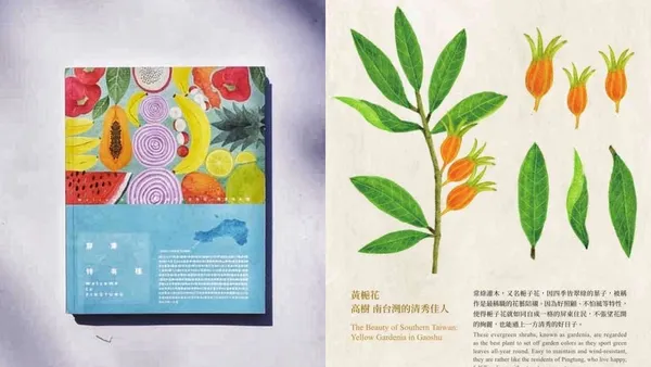 打破屏東「只有墾丁好玩」的刻板印象！種籽設計操刀，新書《屏東特有種》開賣